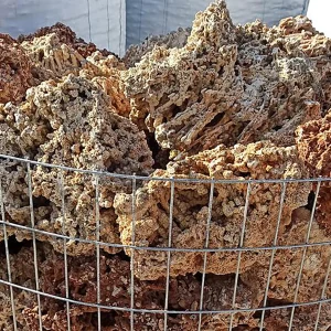 Alternative view of Stanci Spaggeti