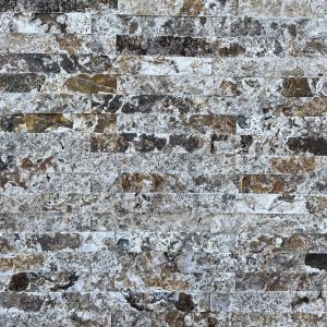 Travertin Silver Multicolor 30x5