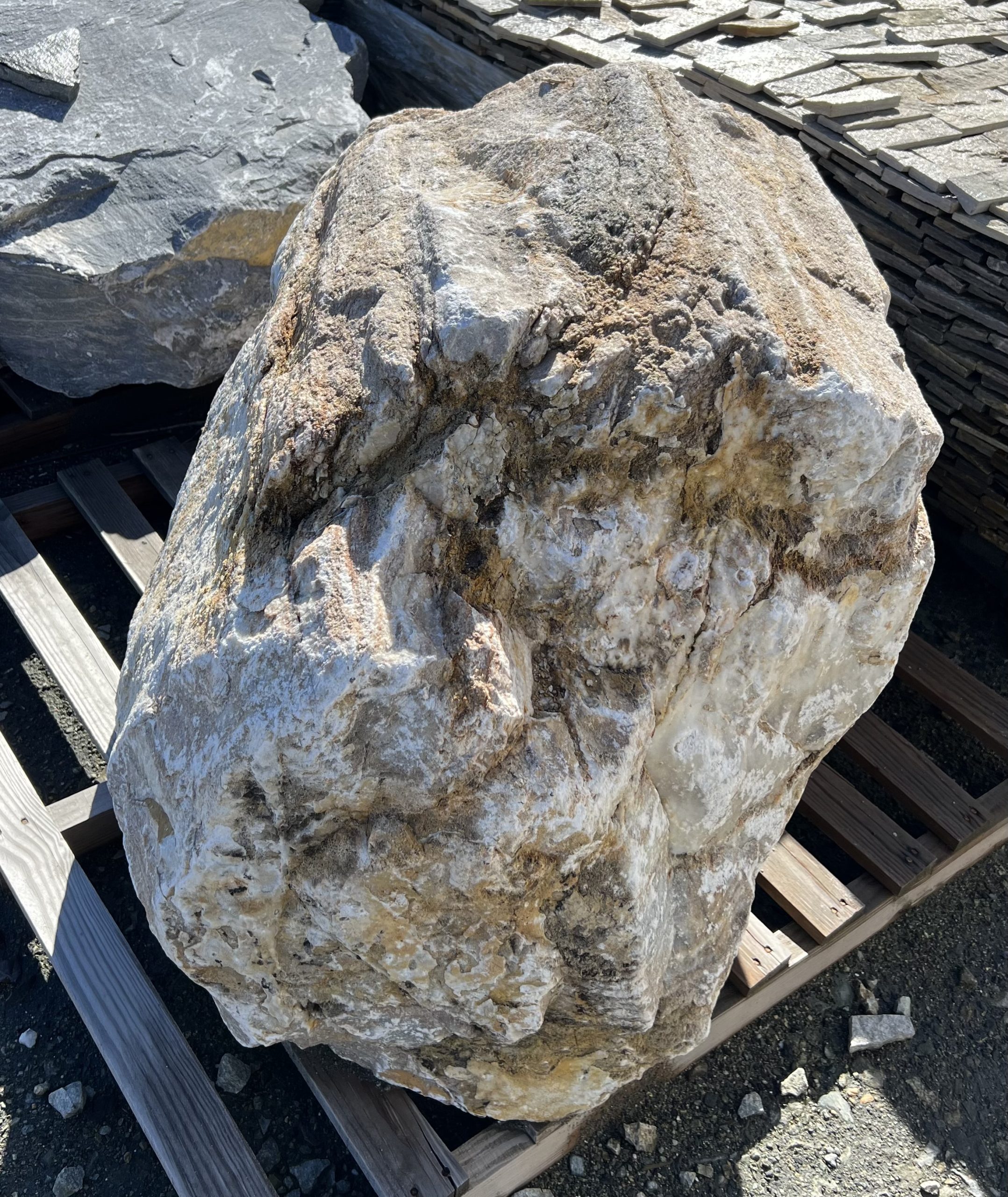 Stanci Ornamentale - imagine 16