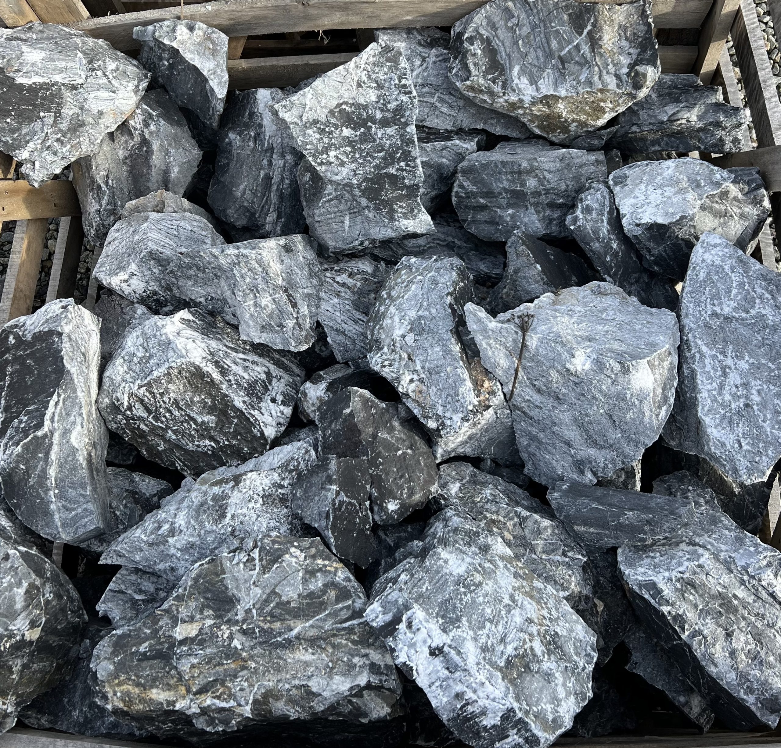 Stanci Ornamentale - imagine 3