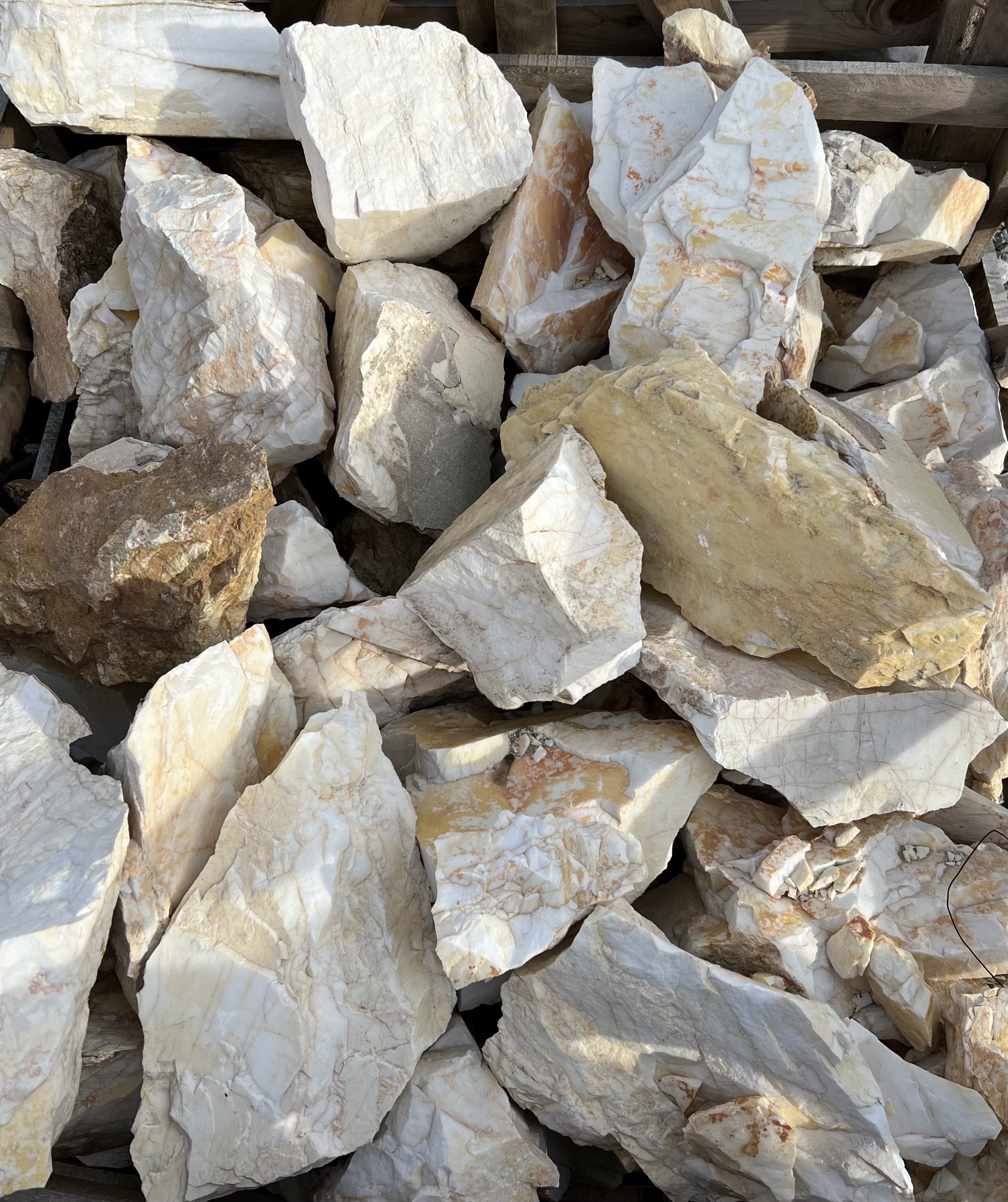 Stanci Ornamentale - imagine 5