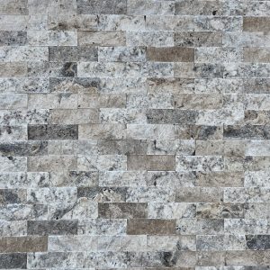 Travertin Silver Multi 15x5