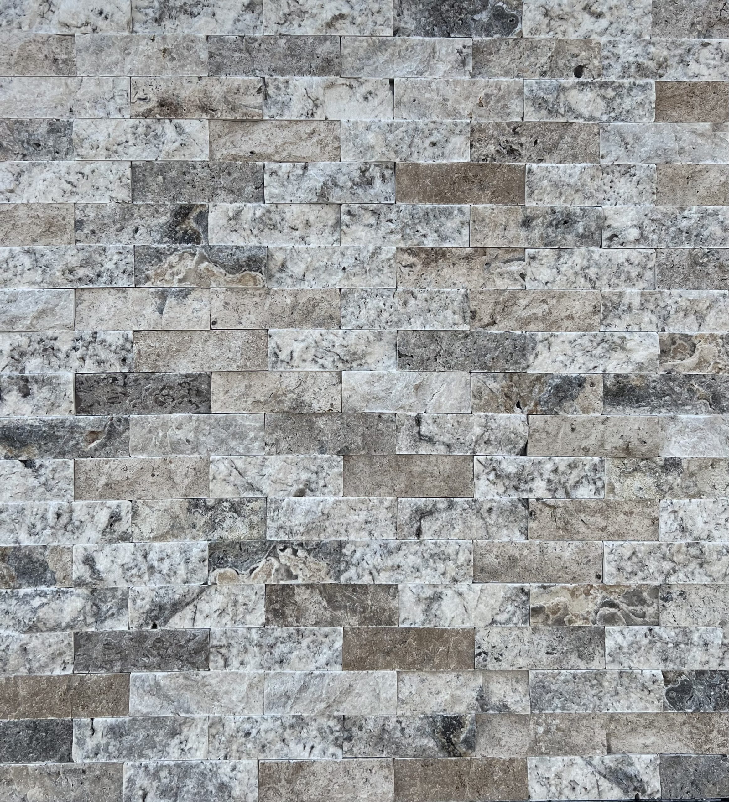 Travertin Silver Multi 15x5